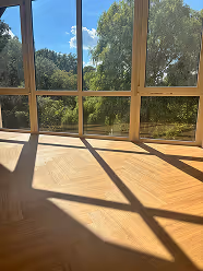 Sonnendurchfluteter Raum mit großen Fensterfronten und Blick auf grüne Bäume.